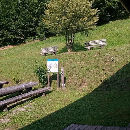 Brunarica Lodge Globoko (Podravje)
