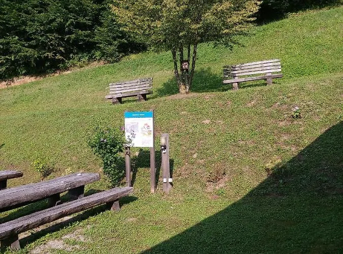 Brunarica Lodge Globoko (Podravje)